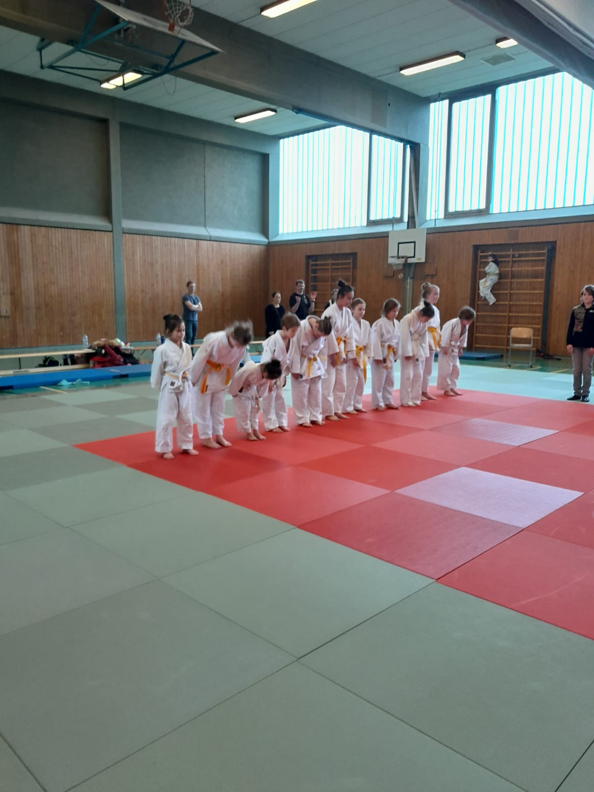 Read more about the article Judo Anfängerkurs